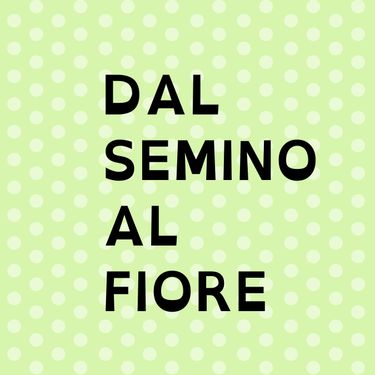 Book Creator DAL SEMINO AL FIORE