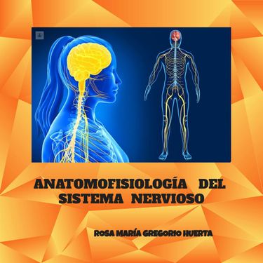 Book Creator ANATOMOFISIOLOGÍA DEL SISTEMA NERVIOSO