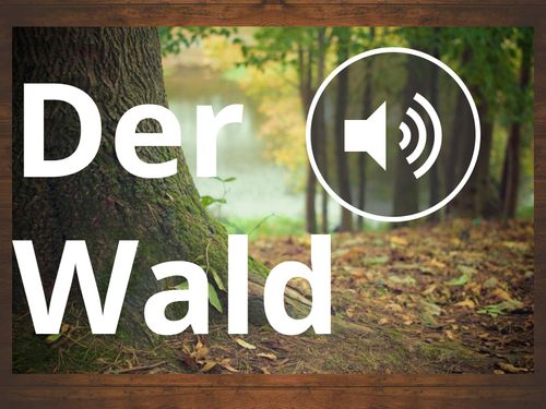 Book Creator Der Wald