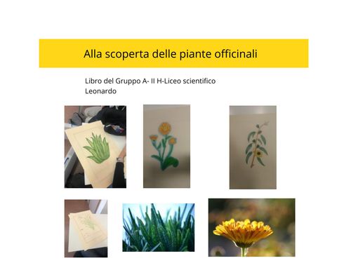 Book Creator Alla Scoperta Delle Piante Officinali