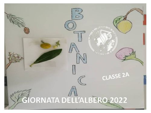 Book Creator GIORNATA ALBERO 2A