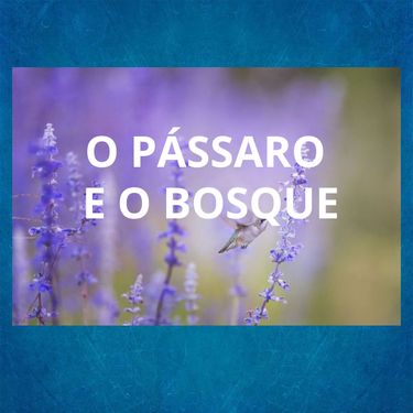 Book Creator O pássaro e o bosque