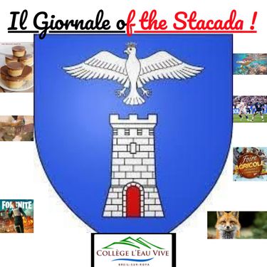 Book Creator Il Giornale Of The Stacada