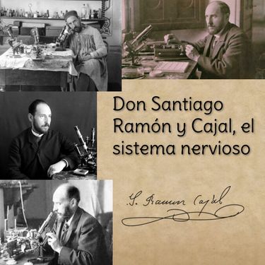 Book Creator Don Santiago Ramón y Cajal el sistema nervioso