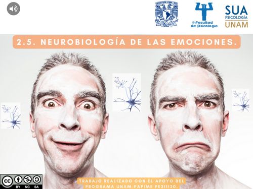 Book Creator 2 5 Neurobiología de las emociones