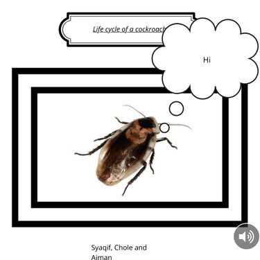 Book Creator | Life cycle of a cockroach