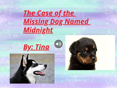 The Case of the Missing Dog Named Midnight