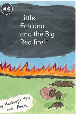 Little Echidna and the Big Red Fire