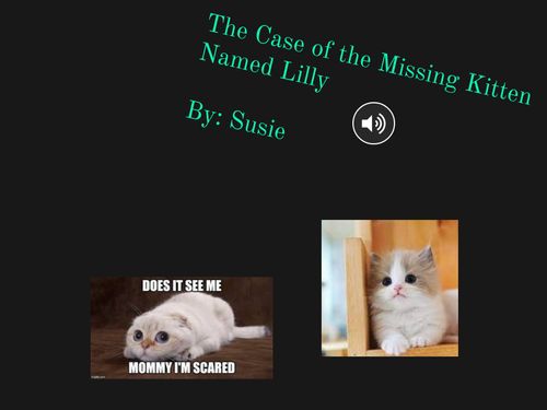 The Case of the Missing Kitten Named Lilly