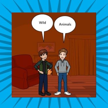Wild Animals