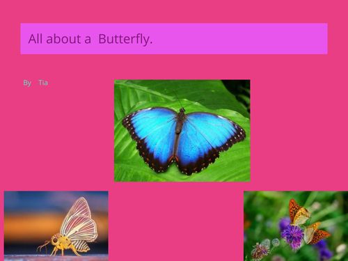 Book Creator | Butterflies