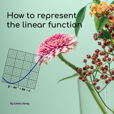 Book Creator | How to represent a linear functions