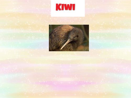 My Book abot a Kiwi