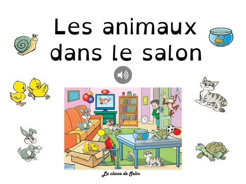 Les animaux dans le salon