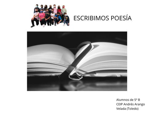 ESCRIBIMOS POESÍA