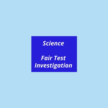 Book Creator | Science Fair Test Investigation