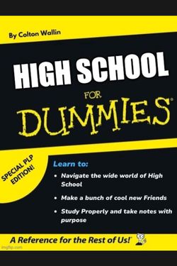 High School for Dummies