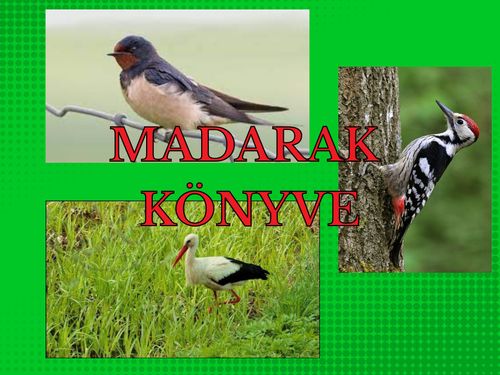 Book Creator | MADAR
