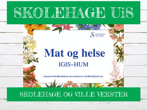 Skolehagen_UiS