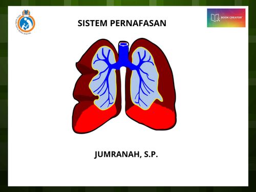 Book Creator | SISTEM PERNAFASAN