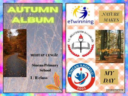 MY AUTUMN ALBUM
