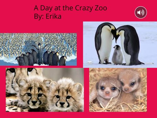 A Day at the Crazy Zoo