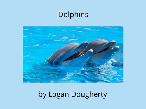 Book Creator | Dolphins