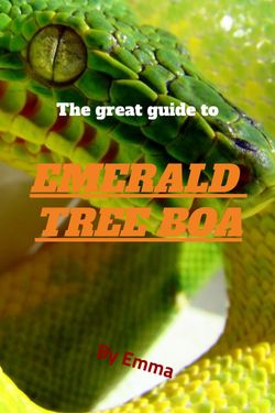 A Great Guide to Emerald Tree Boas