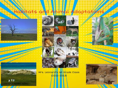 Habitats and Animal Adaptations