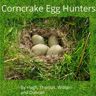 Egg Hunters