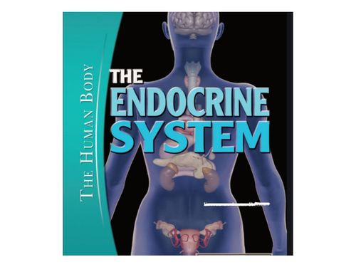 Book Creator | The Endocrine System