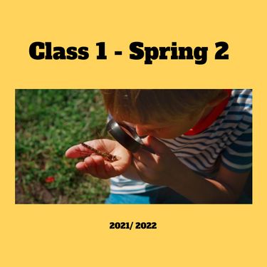 Class 1 spring 2