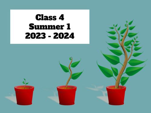 class 4 summer 1