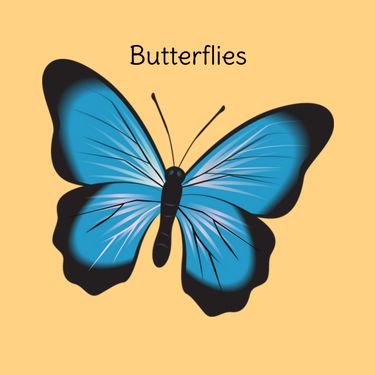 Book Creator | Butterflies