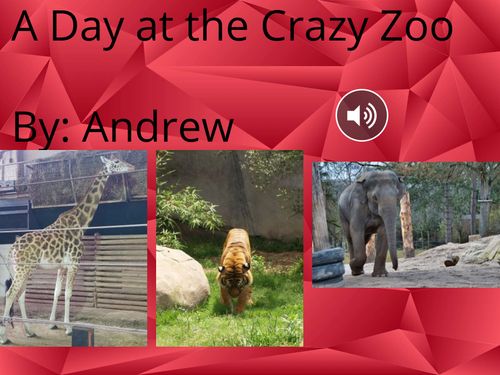 A Day at the Crazy Zoo