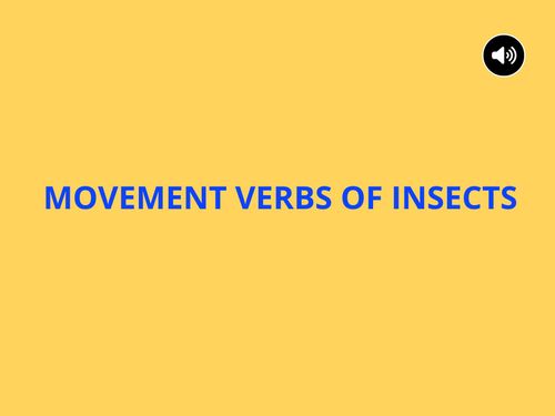 Book Creator | Movement verbs of insects