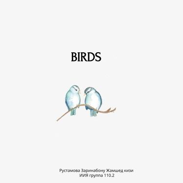 Book Creator | BIRDS