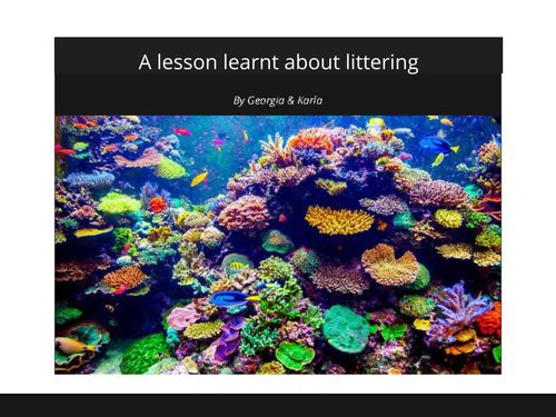 A lesson learnt about littering
