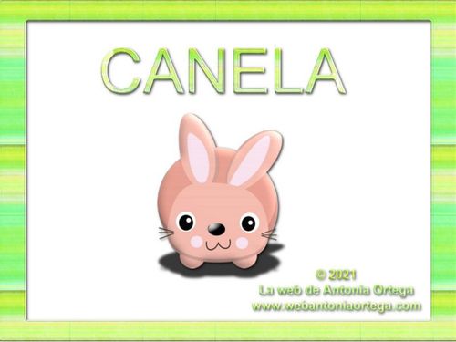 CANELA