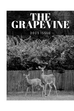 The Grapevine 2023