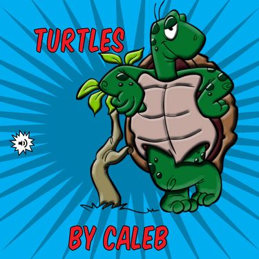 Book Creator | Turtles