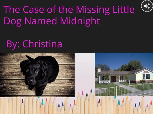 The Case of the Missing Little Dog Named Midnight