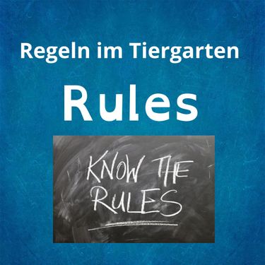 Book Creator | Rules