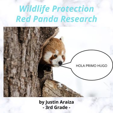 Book Creator | Wildlife Protection Red Panda Research