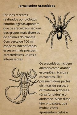 Book Creator | Aracnideos