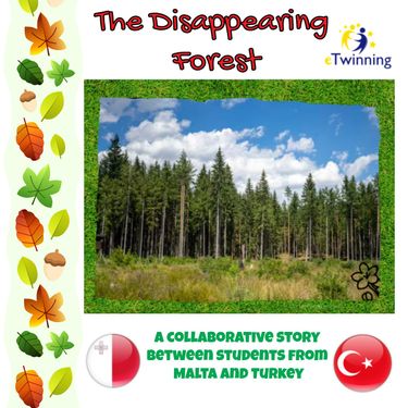The Disappearing Forest