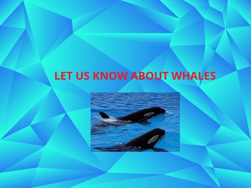 Let us know about whales