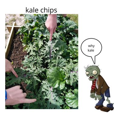 why kale