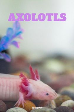 All about Axolotls