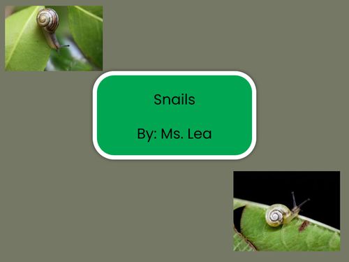 Book Creator | Snails